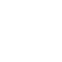 logo icono wordpress